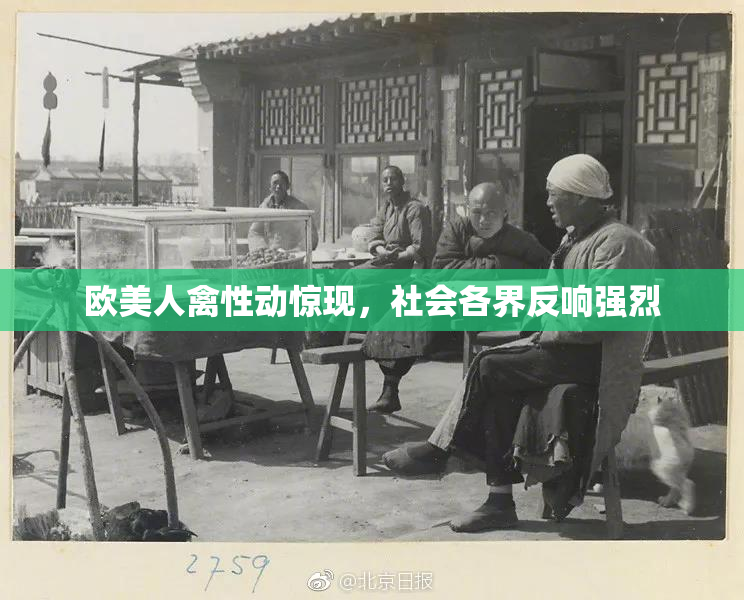 欧美人禽性动惊现，社会各界反响强烈