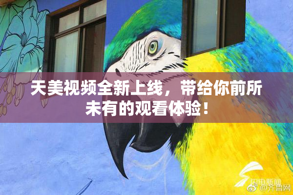 天美视频全新上线，带给你前所未有的观看体验！