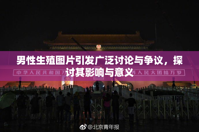 男性生殖图片引发广泛讨论与争议，探讨其影响与意义