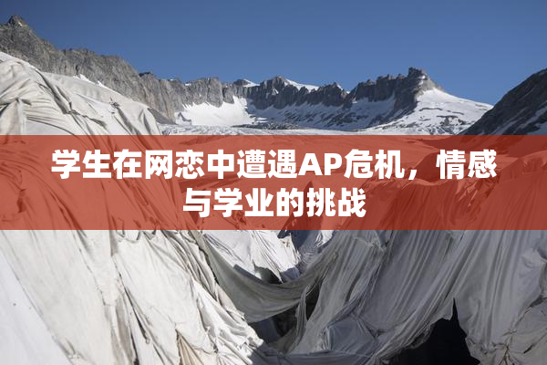 学生在网恋中遭遇AP危机，情感与学业的挑战