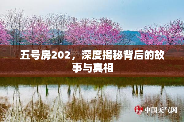 五号房202，深度揭秘背后的故事与真相