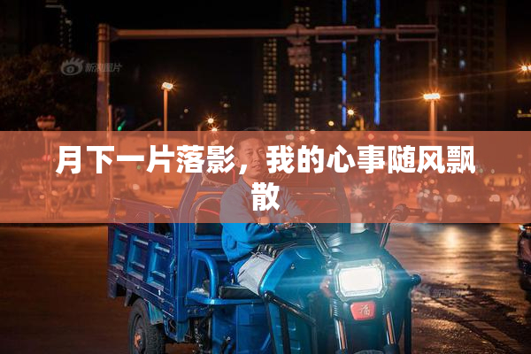 月下一片落影，我的心事随风飘散