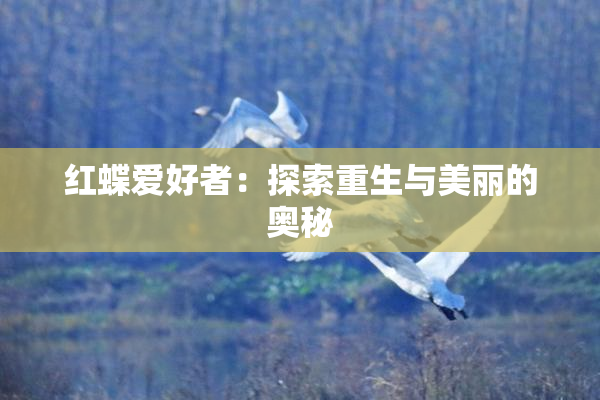 红蝶爱好者：探索重生与美丽的奥秘