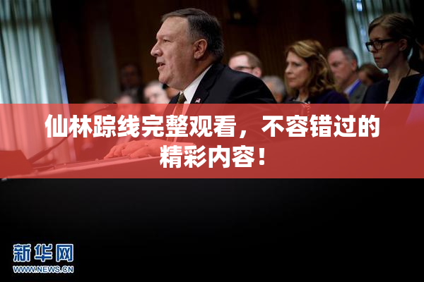 仙林踪线完整观看，不容错过的精彩内容！