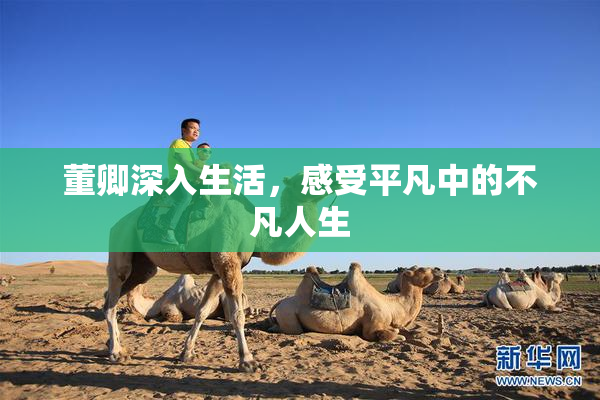 董卿深入生活，感受平凡中的不凡人生