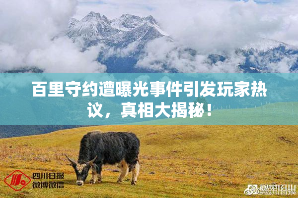 百里守约遭曝光事件引发玩家热议，真相大揭秘！