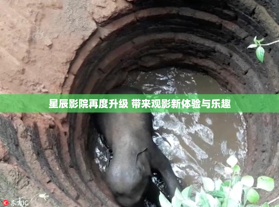 星辰影院再度升级 带来观影新体验与乐趣