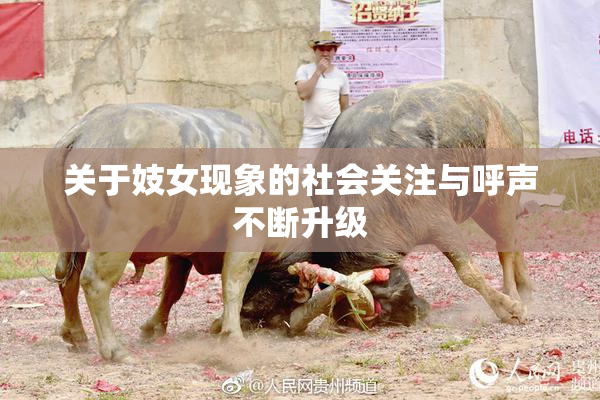 关于妓女现象的社会关注与呼声不断升级