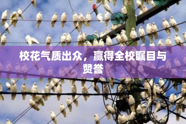 校花气质出众，赢得全校瞩目与赞誉