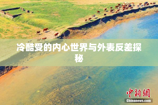 冷酷受的内心世界与外表反差探秘