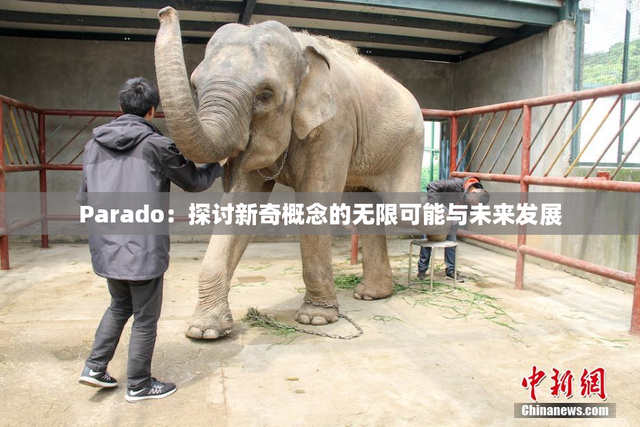 Parado：探讨新奇概念的无限可能与未来发展
