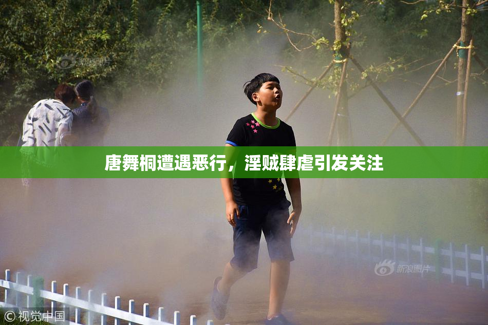 唐舞桐遭遇恶行，淫贼肆虐引发关注