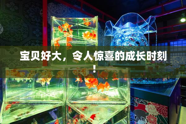 宝贝好大，令人惊喜的成长时刻！