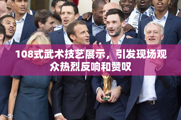 108式武术技艺展示，引发现场观众热烈反响和赞叹