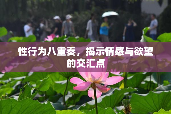 性行为八重奏，揭示情感与欲望的交汇点