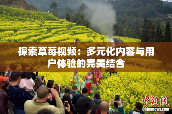 探索草莓视频：多元化内容与用户体验的完美结合