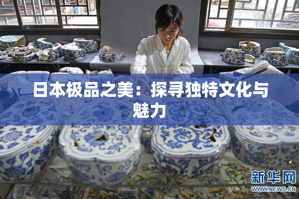 日本极品之美：探寻独特文化与魅力