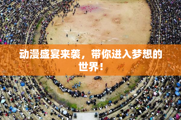动漫盛宴来袭，带你进入梦想的世界！