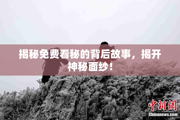 揭秘免费看秘的背后故事，揭开神秘面纱！