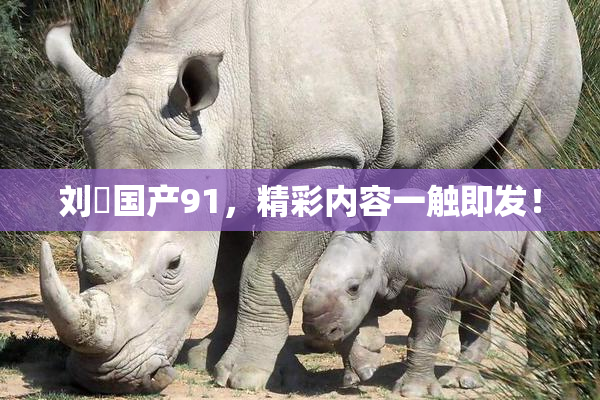 刘玥国产91，精彩内容一触即发！