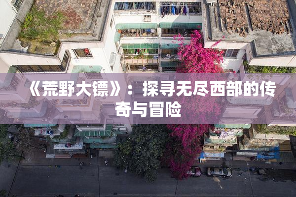 《荒野大镖》：探寻无尽西部的传奇与冒险