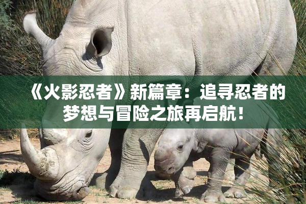 《火影忍者》新篇章：追寻忍者的梦想与冒险之旅再启航！