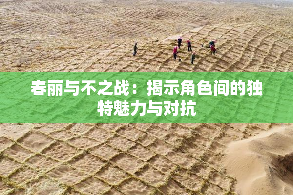 春丽与不之战：揭示角色间的独特魅力与对抗