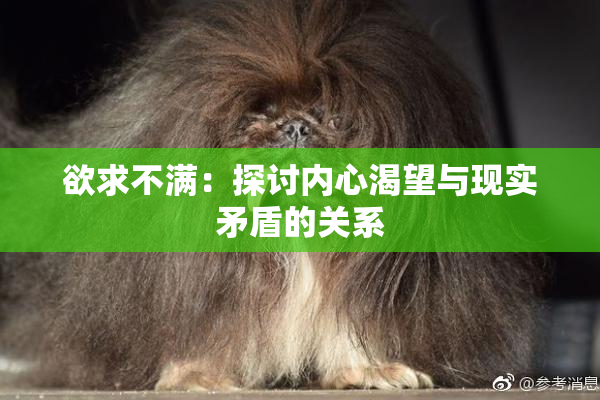 欲求不满：探讨内心渴望与现实矛盾的关系
