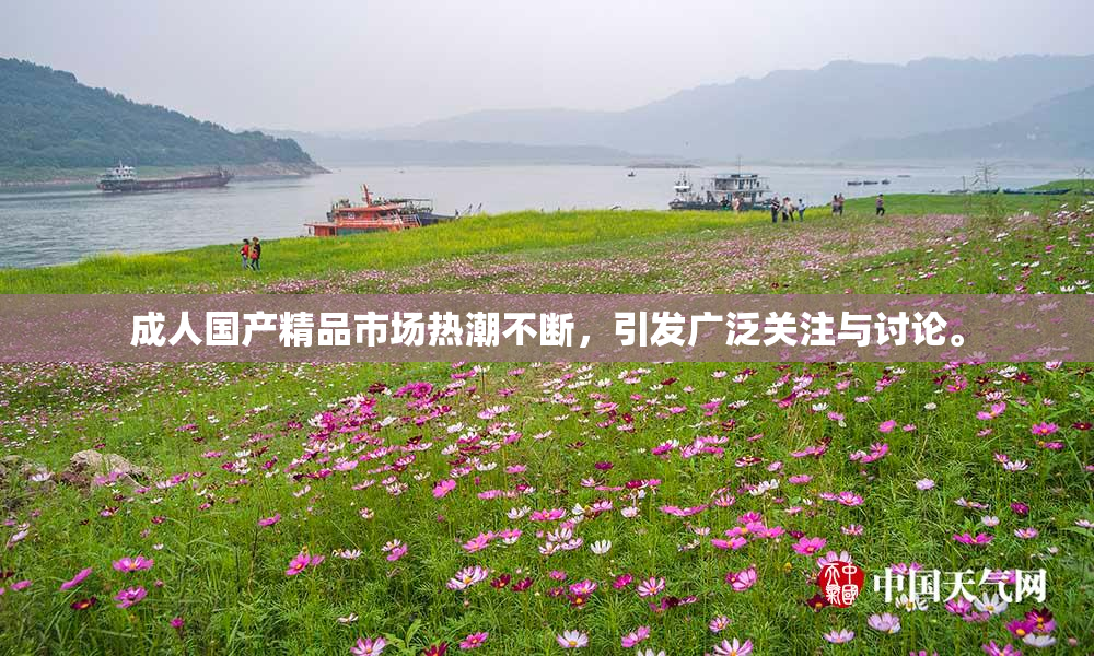 成人国产精品市场热潮不断，引发广泛关注与讨论。