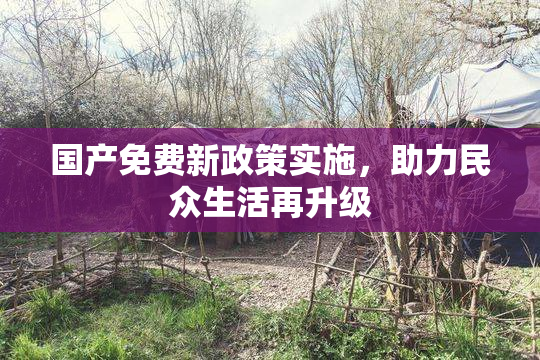 国产免费新政策实施，助力民众生活再升级