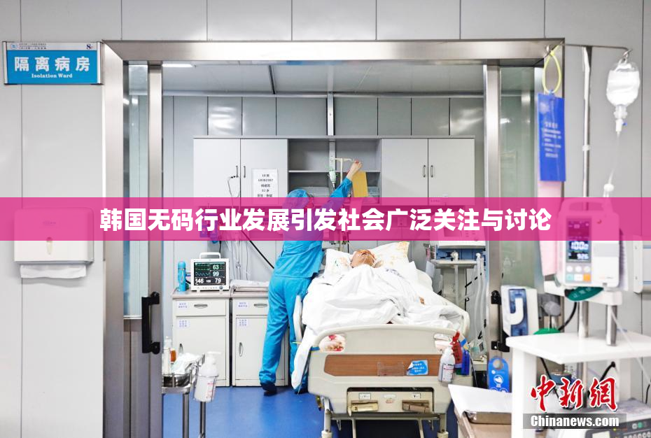 韩国无码行业发展引发社会广泛关注与讨论