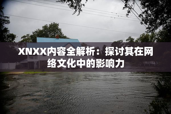 XNXX内容全解析：探讨其在网络文化中的影响力
