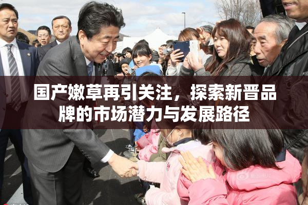 国产嫩草再引关注，探索新晋品牌的市场潜力与发展路径