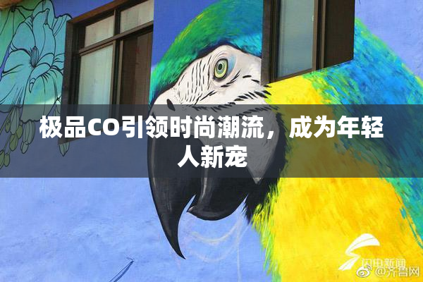极品CO引领时尚潮流，成为年轻人新宠