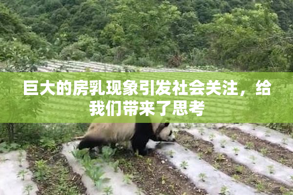 巨大的房乳现象引发社会关注，给我们带来了思考