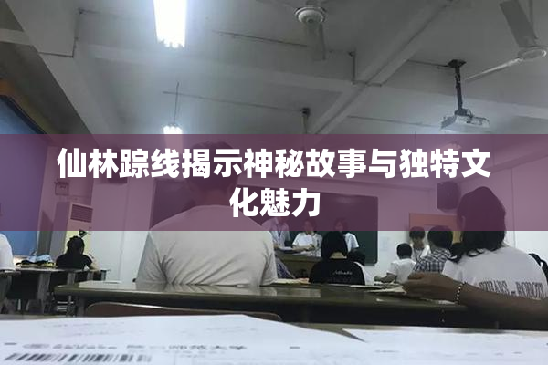 仙林踪线揭示神秘故事与独特文化魅力