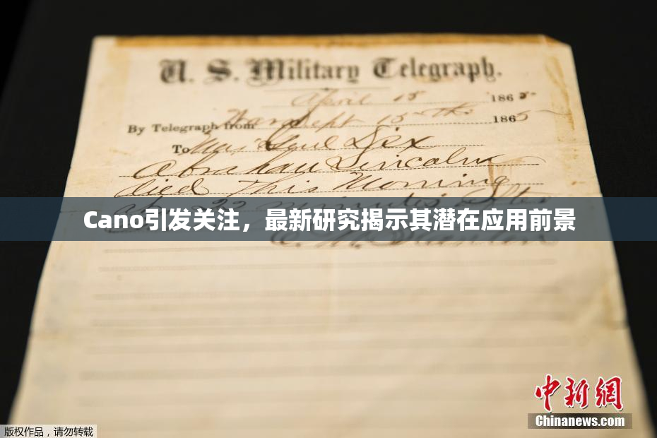 Cano引发关注，最新研究揭示其潜在应用前景