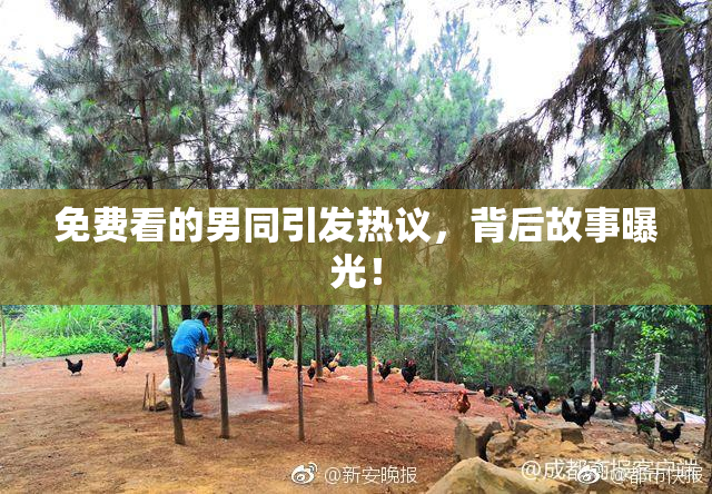 免费看的男同引发热议，背后故事曝光！