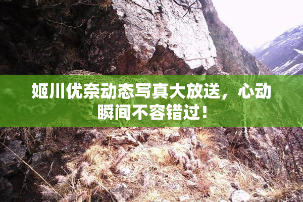 姬川优奈动态写真大放送，心动瞬间不容错过！
