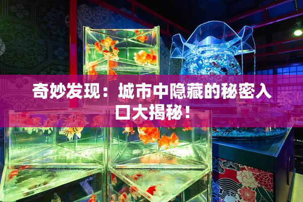 奇妙发现：城市中隐藏的秘密入口大揭秘！