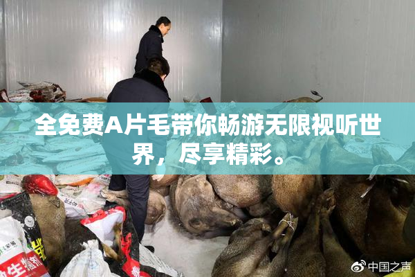 全免费A片毛带你畅游无限视听世界，尽享精彩。
