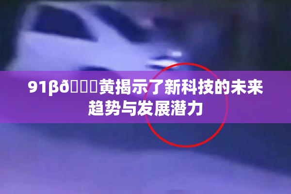 91β🔞黄揭示了新科技的未来趋势与发展潜力