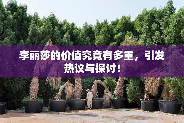 李丽莎的价值究竟有多重，引发热议与探讨！