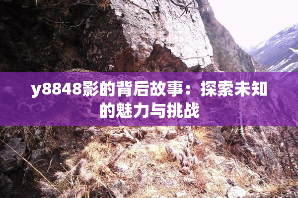 y8848影的背后故事：探索未知的魅力与挑战