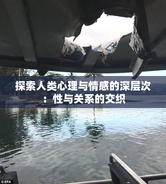 探索人类心理与情感的深层次：性与关系的交织