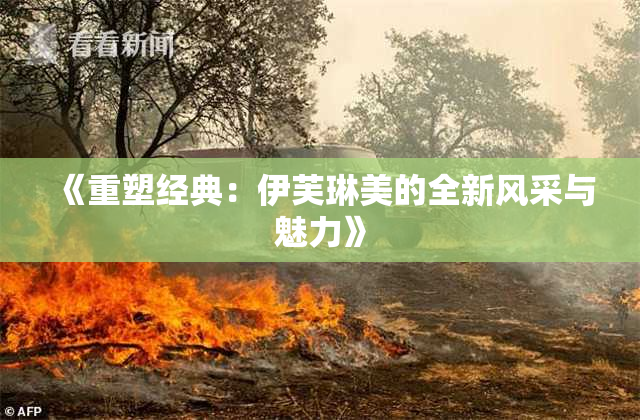 《重塑经典：伊芙琳美的全新风采与魅力》