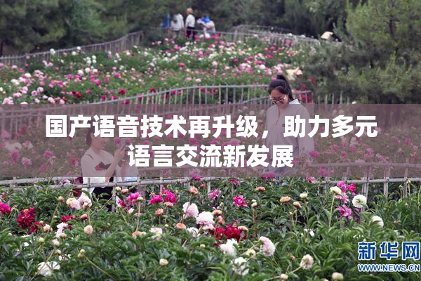 国产语音技术再升级，助力多元语言交流新发展