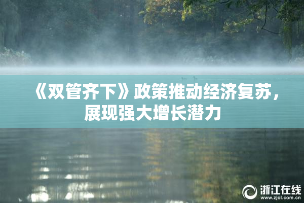 《双管齐下》政策推动经济复苏，展现强大增长潜力