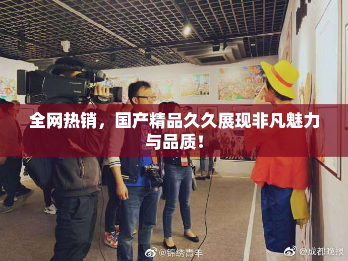 全网热销，国产精品久久展现非凡魅力与品质！