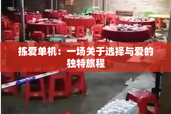 拣爱单机：一场关于选择与爱的独特旅程